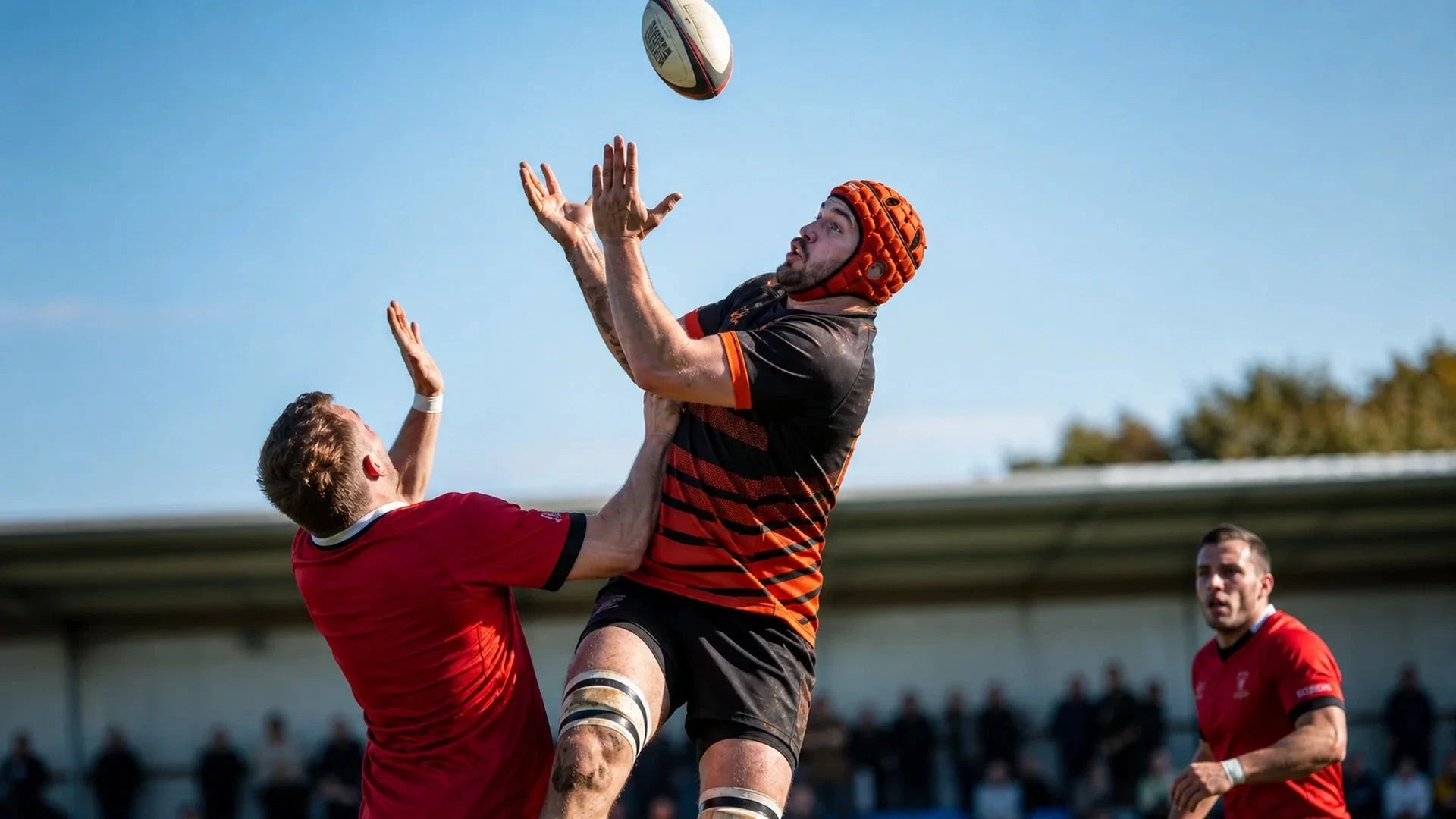 Everything about rugby rules: The complete guide from beginner to professional