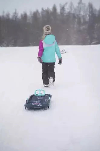 Designer sled with steering wheel Powershot