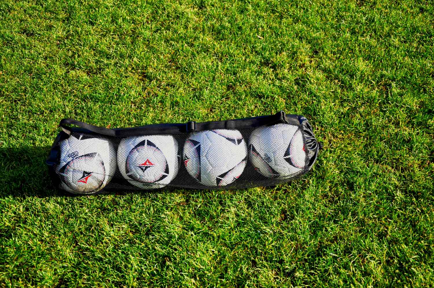 Bolsa para balones-Hasta 4 balones
