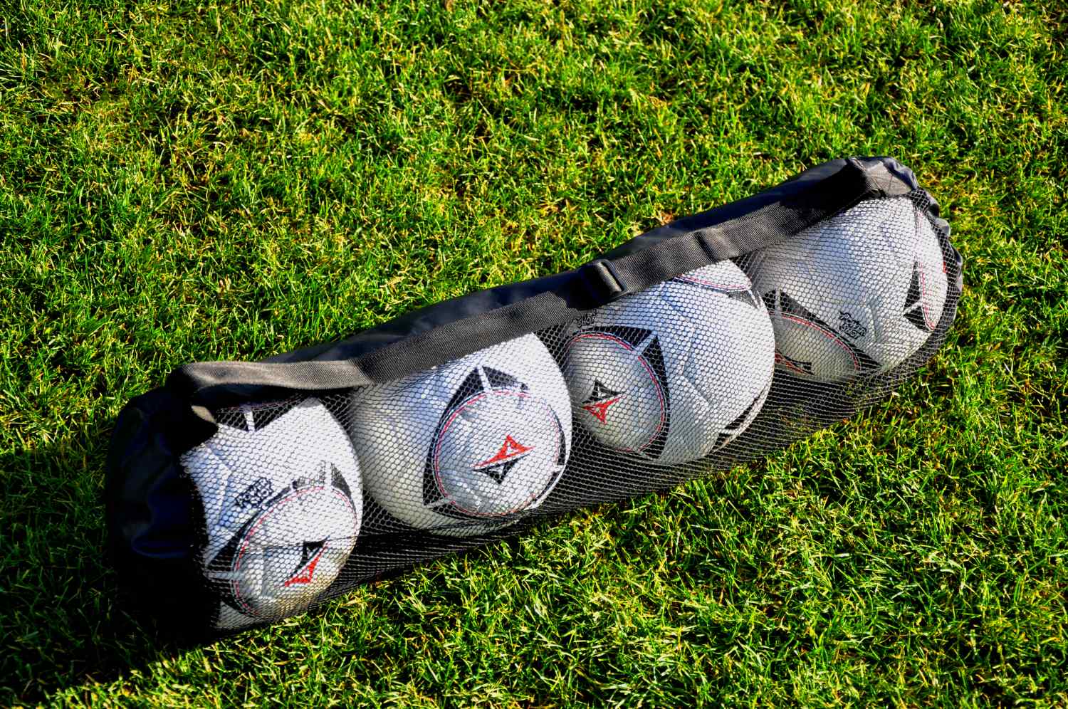 Bolsa para balones-Hasta 4 balones