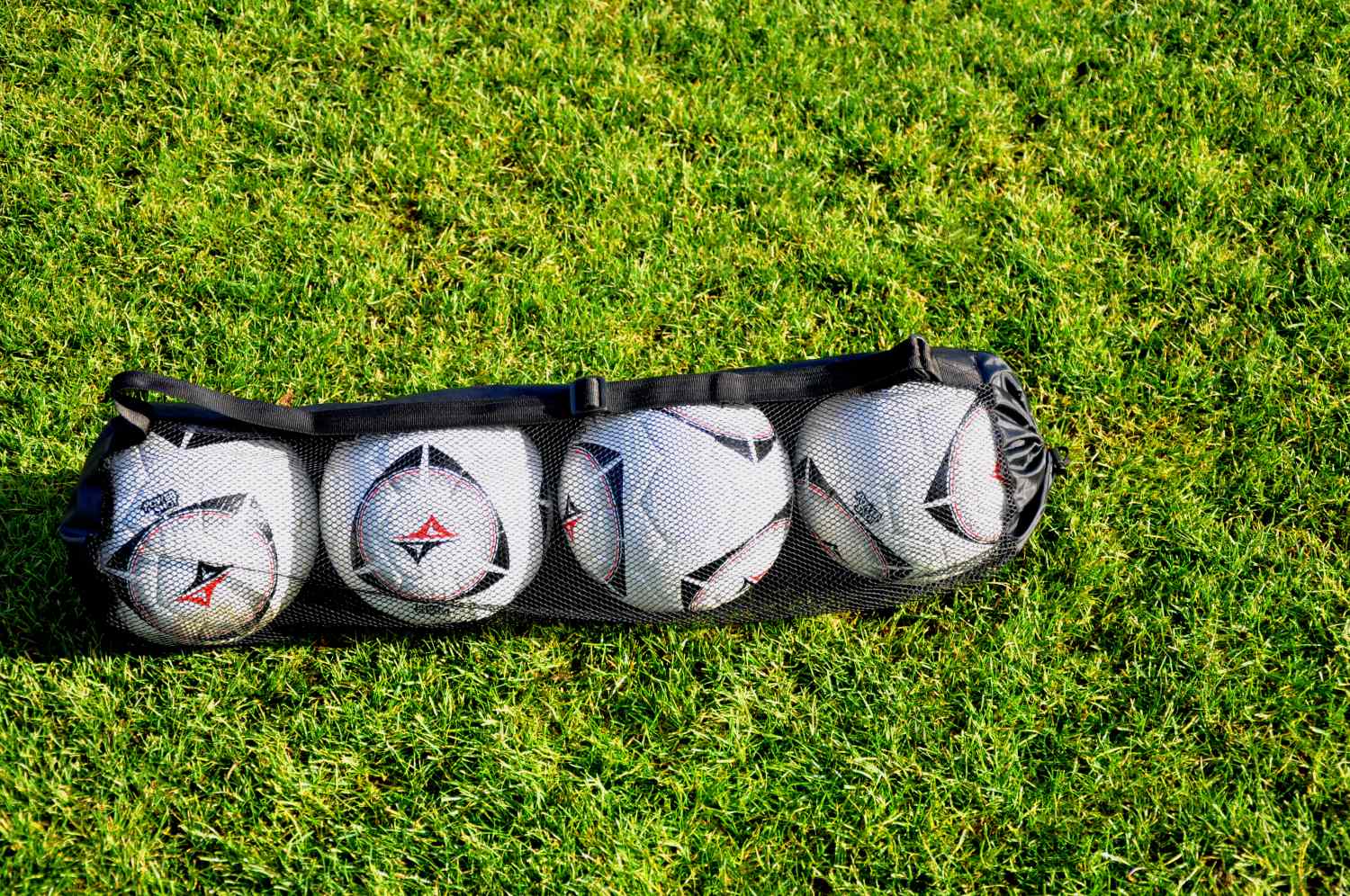 Bolsa para balones-Hasta 4 balones