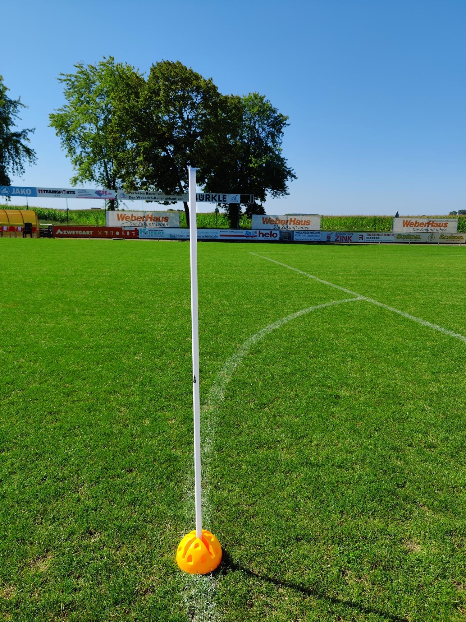 Juego de 5 bastones de eslalon 160cm