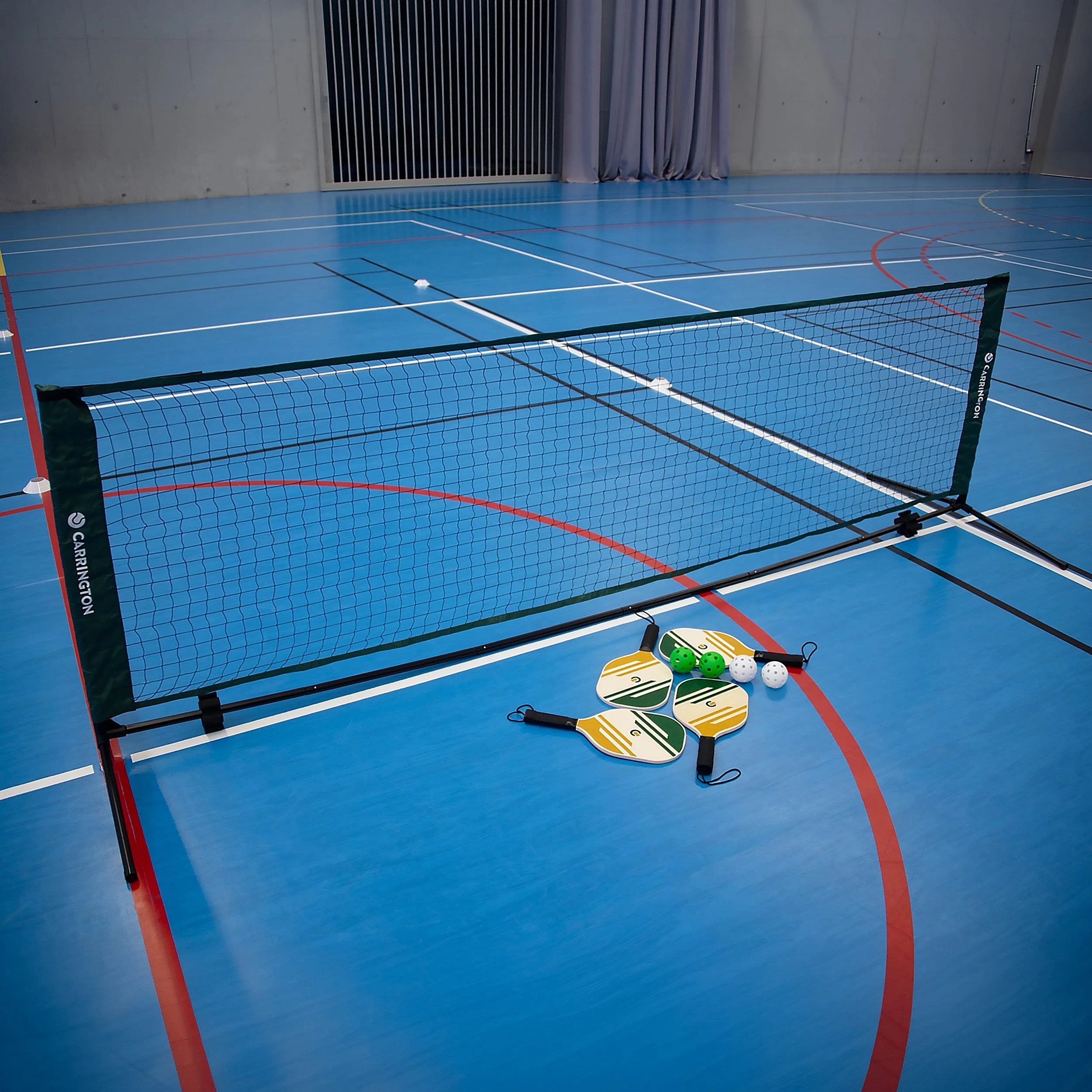 Pickleball net set Carrington