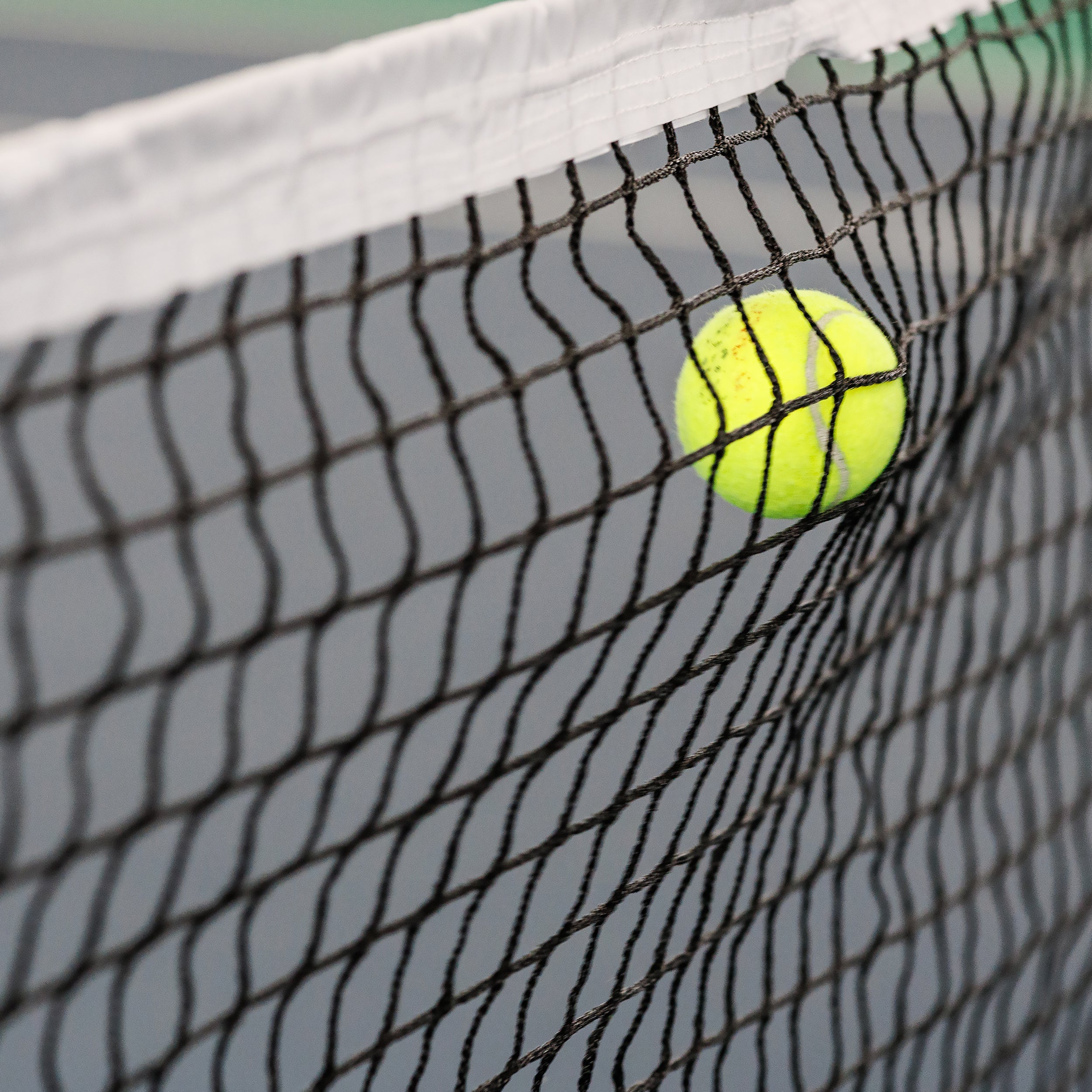 TOURNOI 6mm tennis net Carrington